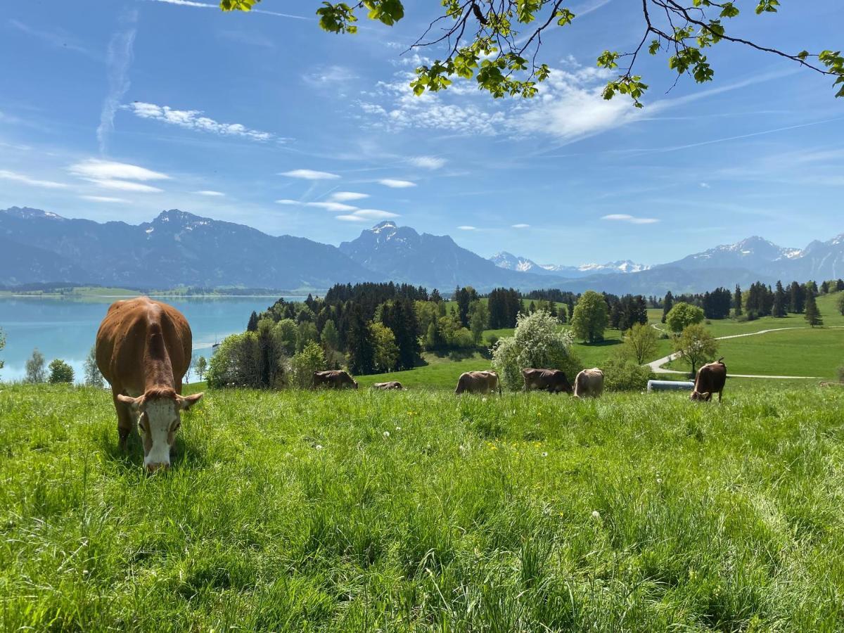 Best Butler Boho Boutique City Apartment Netflix Füssen Zewnętrze zdjęcie
